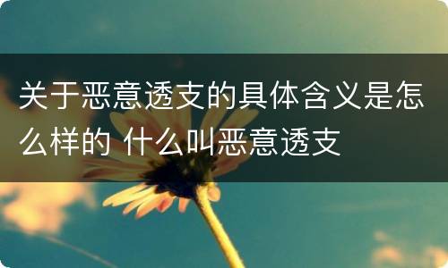 关于恶意透支的具体含义是怎么样的 什么叫恶意透支