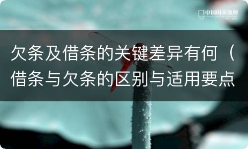 欠条及借条的关键差异有何（借条与欠条的区别与适用要点）