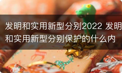 发明和实用新型分别2022 发明和实用新型分别保护的什么内容
