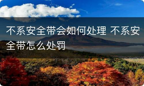 不系安全带会如何处理 不系安全带怎么处罚