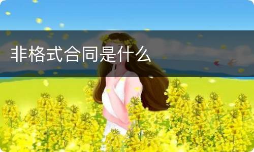 非格式合同是什么