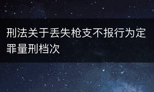 刑法关于丢失枪支不报行为定罪量刑档次