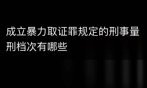 成立暴力取证罪规定的刑事量刑档次有哪些