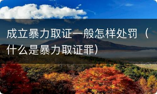 成立暴力取证一般怎样处罚（什么是暴力取证罪）