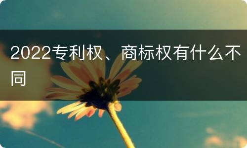 2022专利权、商标权有什么不同