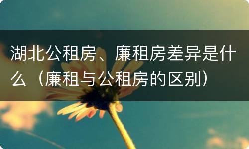 湖北公租房、廉租房差异是什么（廉租与公租房的区别）