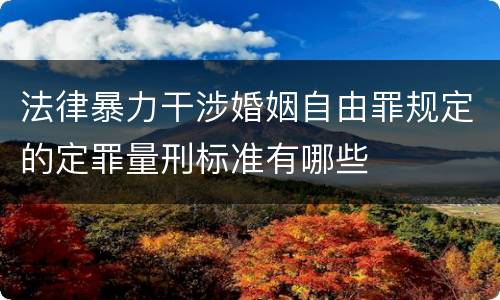 法律暴力干涉婚姻自由罪规定的定罪量刑标准有哪些