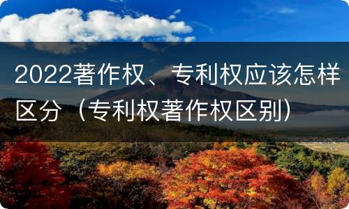 2022著作权、专利权应该怎样区分（专利权著作权区别）