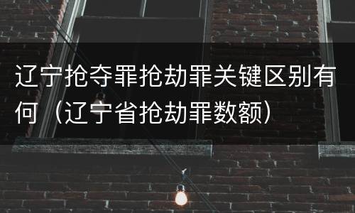 辽宁抢夺罪抢劫罪关键区别有何（辽宁省抢劫罪数额）