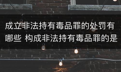 成立非法持有毒品罪的处罚有哪些 构成非法持有毒品罪的是