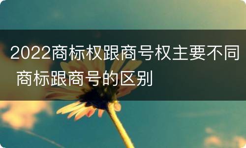 2022商标权跟商号权主要不同 商标跟商号的区别