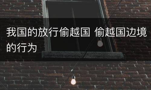 我国的放行偷越国 偷越国边境的行为