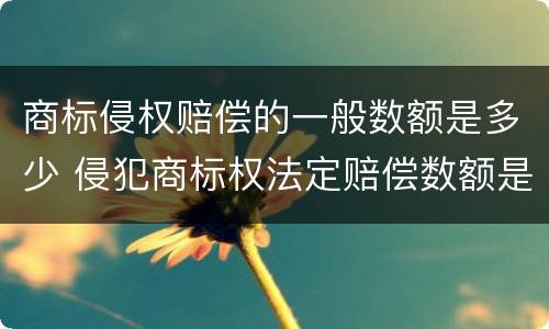 商标侵权赔偿的一般数额是多少 侵犯商标权法定赔偿数额是多少