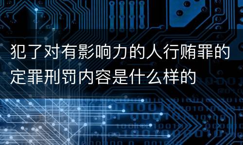 犯了对有影响力的人行贿罪的定罪刑罚内容是什么样的