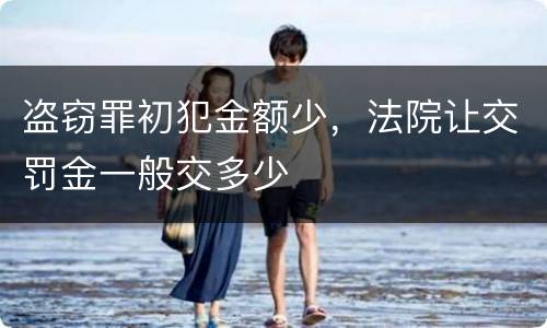 盗窃罪初犯金额少，法院让交罚金一般交多少