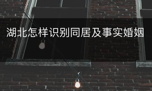 湖北怎样识别同居及事实婚姻