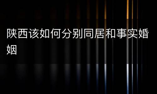陕西该如何分别同居和事实婚姻