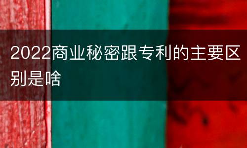 2022商业秘密跟专利的主要区别是啥