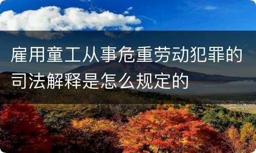 雇用童工从事危重劳动犯罪的司法解释是怎么规定的