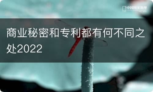 商业秘密和专利都有何不同之处2022