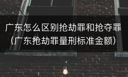 广东怎么区别抢劫罪和抢夺罪（广东抢劫罪量刑标准金额）