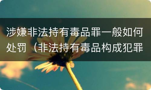 涉嫌非法持有毒品罪一般如何处罚（非法持有毒品构成犯罪吗）