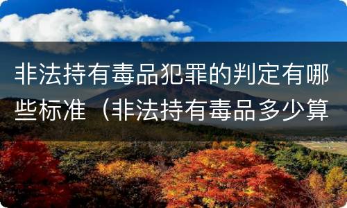 非法持有毒品犯罪的判定有哪些标准（非法持有毒品多少算犯罪）