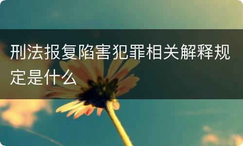 刑法报复陷害犯罪相关解释规定是什么