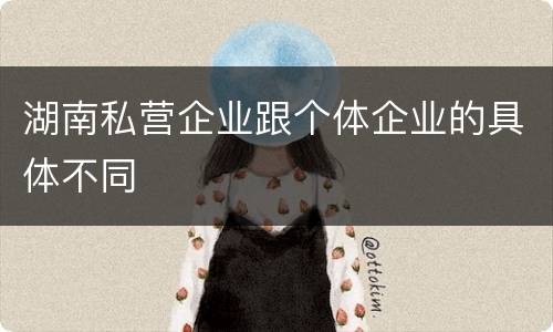 湖南私营企业跟个体企业的具体不同
