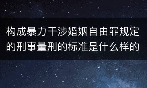 构成暴力干涉婚姻自由罪规定的刑事量刑的标准是什么样的