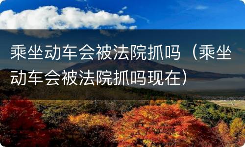 乘坐动车会被法院抓吗（乘坐动车会被法院抓吗现在）