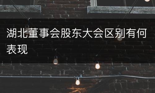 湖北董事会股东大会区别有何表现