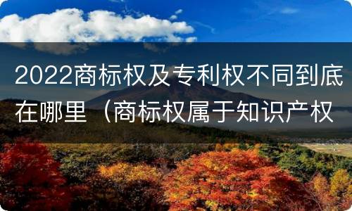 2022商标权及专利权不同到底在哪里（商标权属于知识产权么）