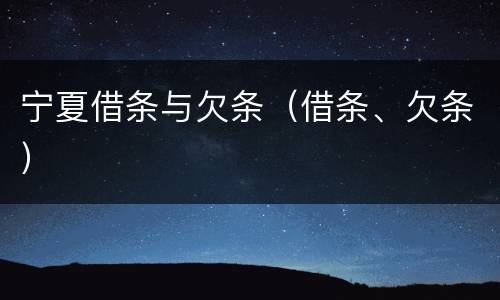 宁夏借条与欠条（借条、欠条）