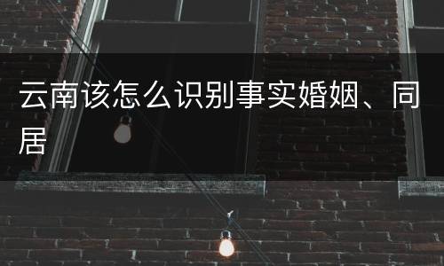 云南该怎么识别事实婚姻、同居