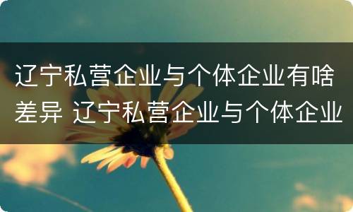 辽宁私营企业与个体企业有啥差异 辽宁私营企业与个体企业有啥差异嘛