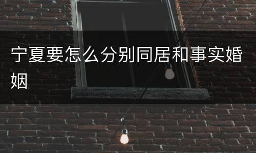 宁夏要怎么分别同居和事实婚姻