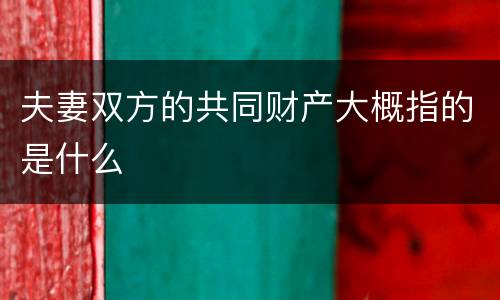 夫妻双方的共同财产大概指的是什么