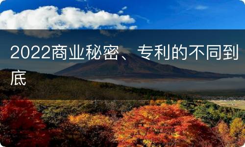 2022商业秘密、专利的不同到底