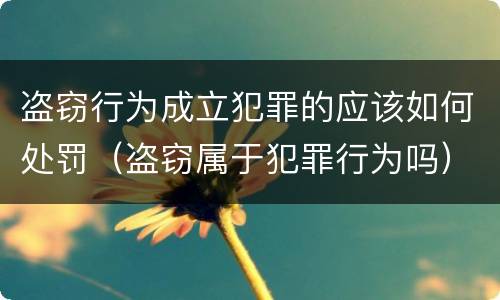 盗窃行为成立犯罪的应该如何处罚（盗窃属于犯罪行为吗）