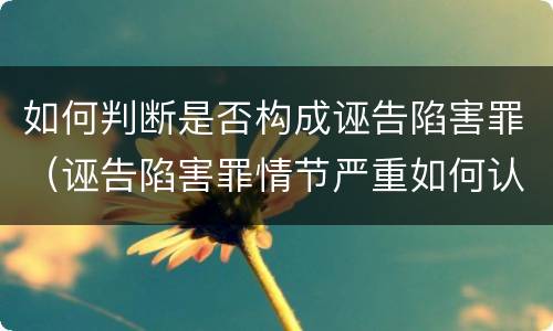 如何判断是否构成诬告陷害罪（诬告陷害罪情节严重如何认定）