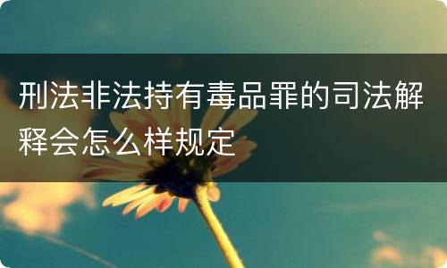 刑法非法持有毒品罪的司法解释会怎么样规定