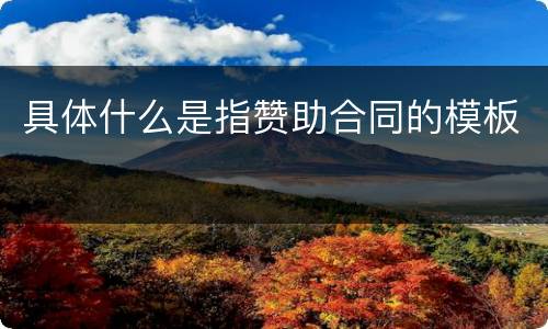 具体什么是指赞助合同的模板