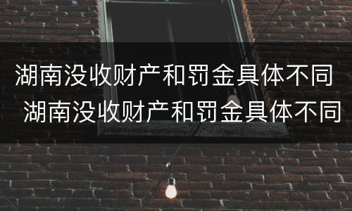 湖南没收财产和罚金具体不同 湖南没收财产和罚金具体不同吗