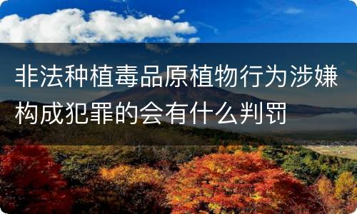 非法种植毒品原植物行为涉嫌构成犯罪的会有什么判罚
