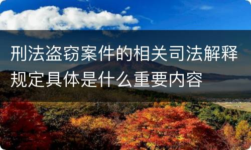 刑法盗窃案件的相关司法解释规定具体是什么重要内容