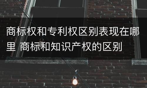 商标权和专利权区别表现在哪里 商标和知识产权的区别