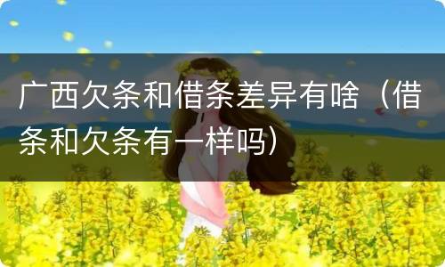 广西欠条和借条差异有啥（借条和欠条有一样吗）