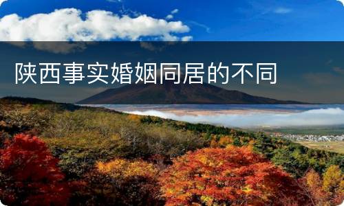 陕西事实婚姻同居的不同