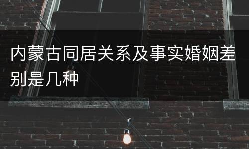 内蒙古同居关系及事实婚姻差别是几种